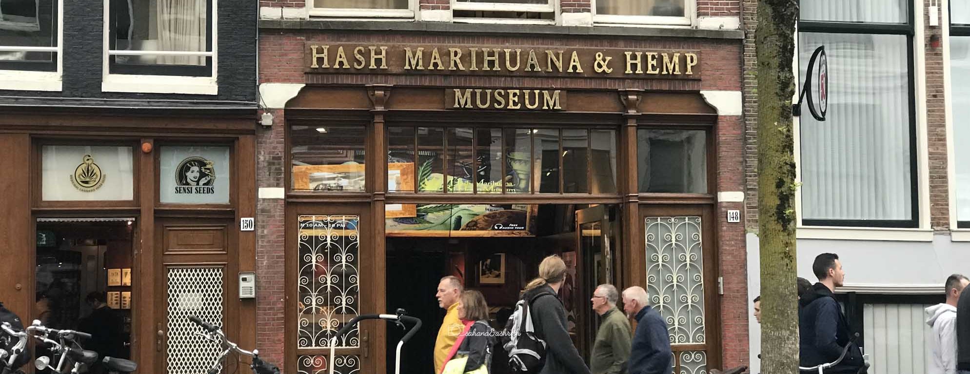 A Tourist Story on Amsterdam Drugs High and Low Dope Scene.