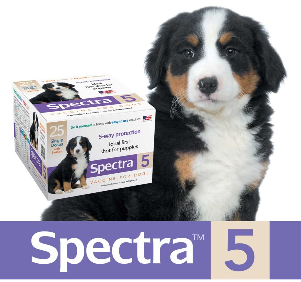 What Is A 7 Way Shot For Dogs