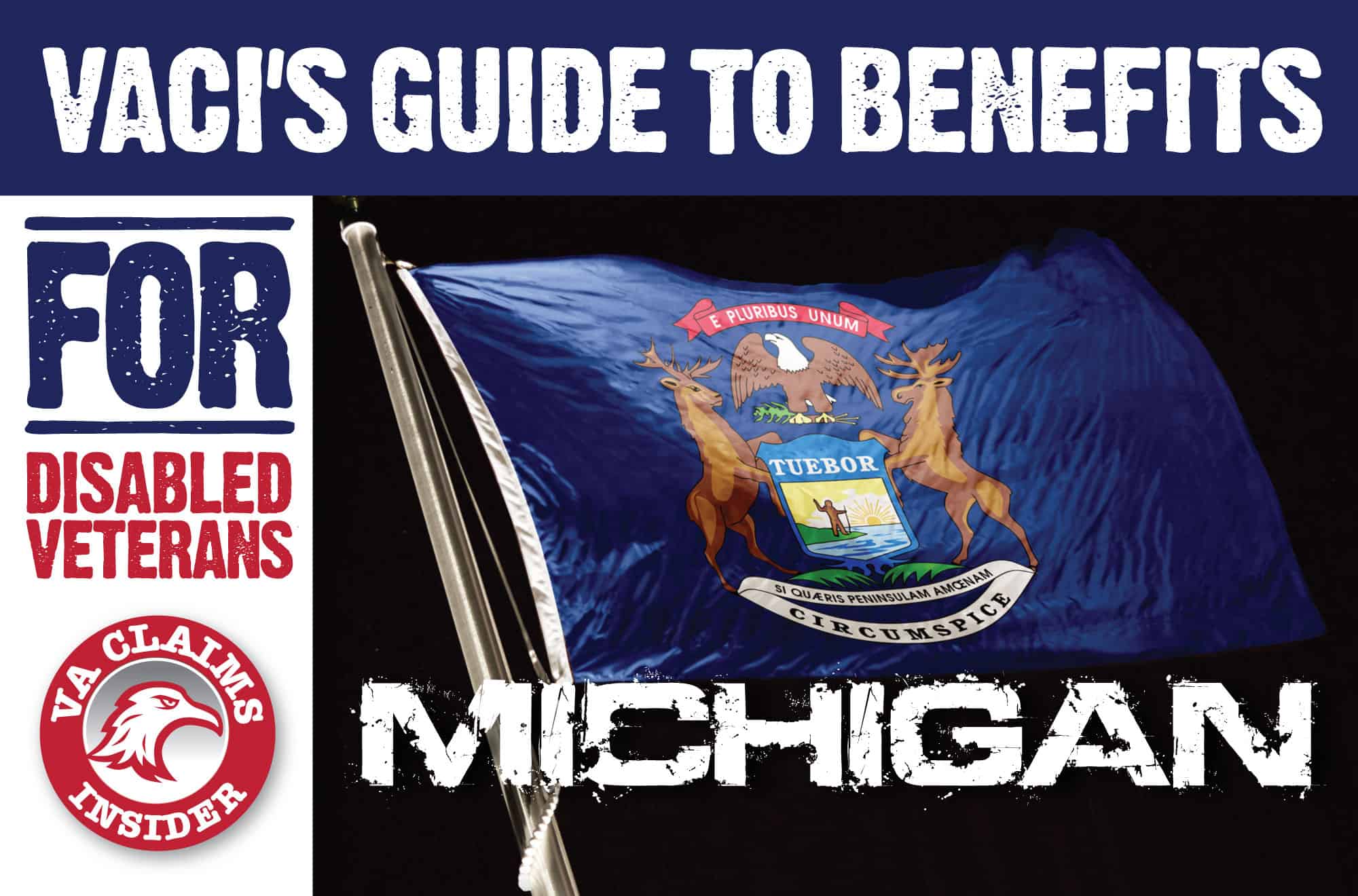 Michigan Veterans Benefits The Insider’s Guide VA Claims Insider