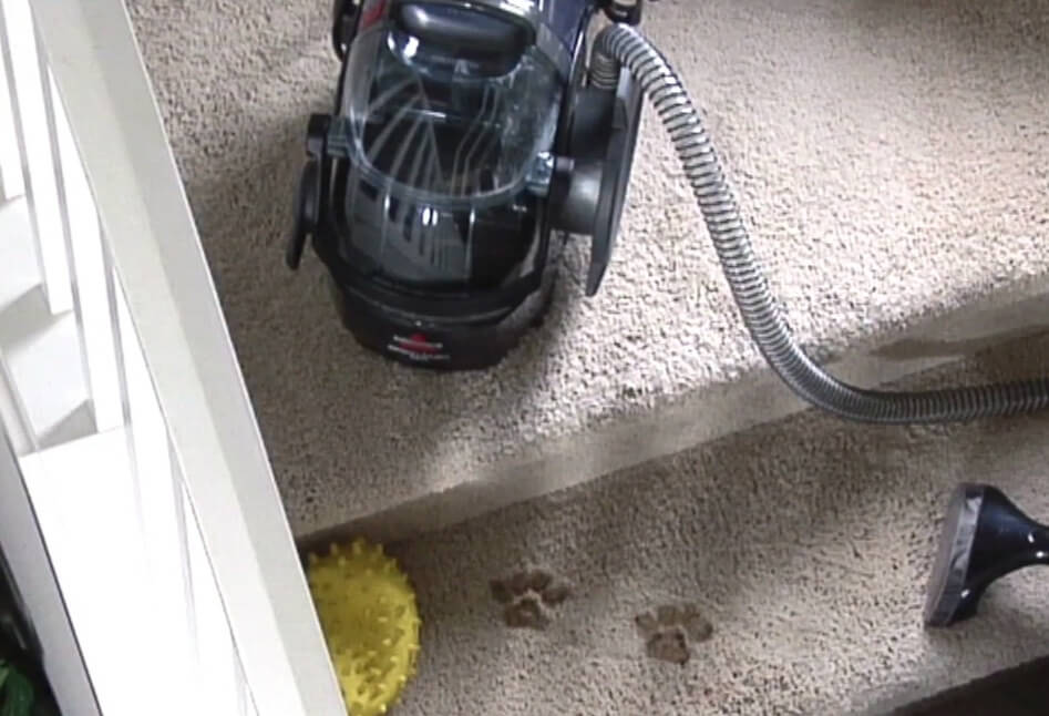 What's the Best Portable Carpet Cleaner for Stairs, Upholstery, Auto