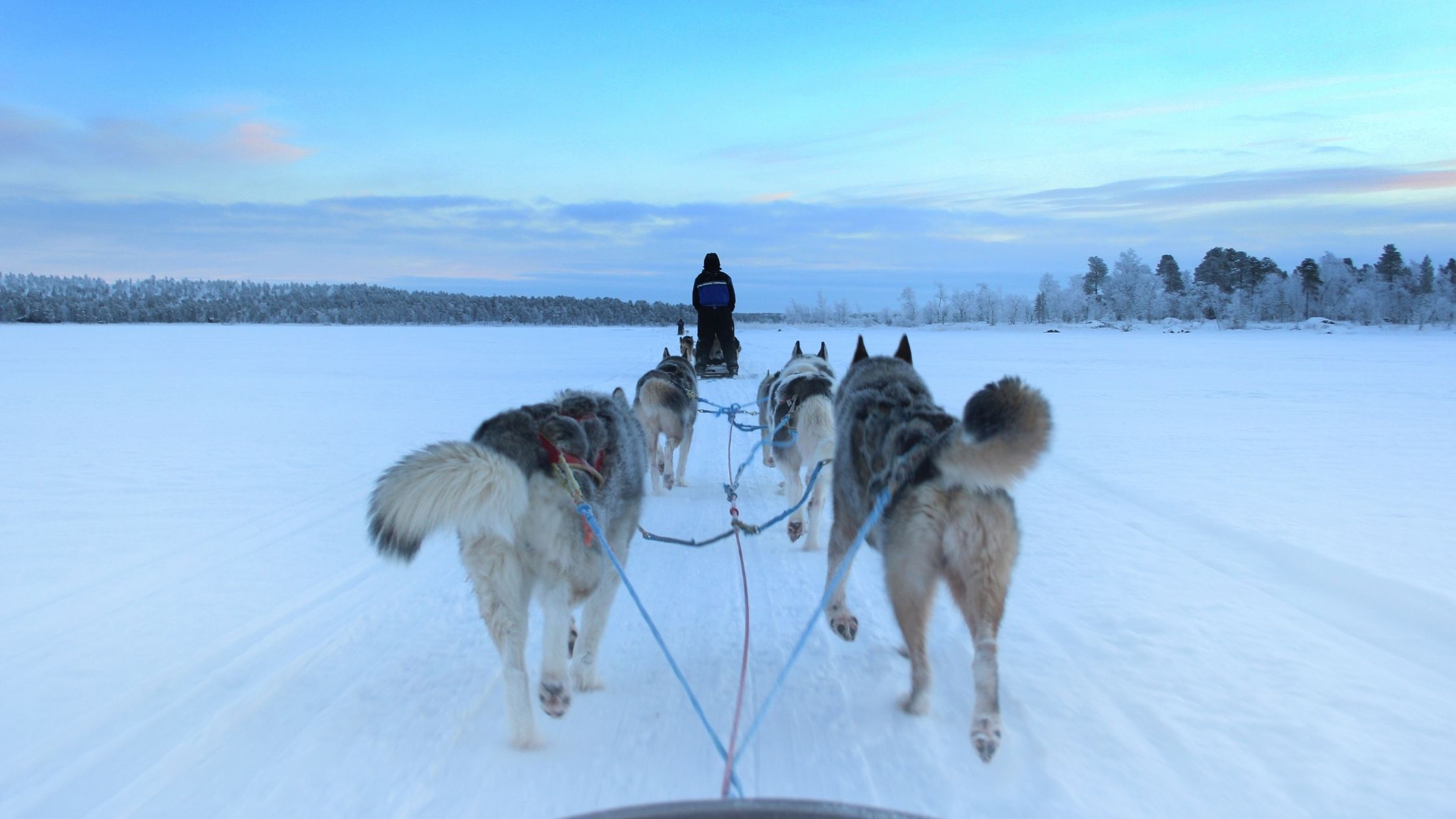 Vad händer i Abisko tips på saker att göra Vad händer i Sverige