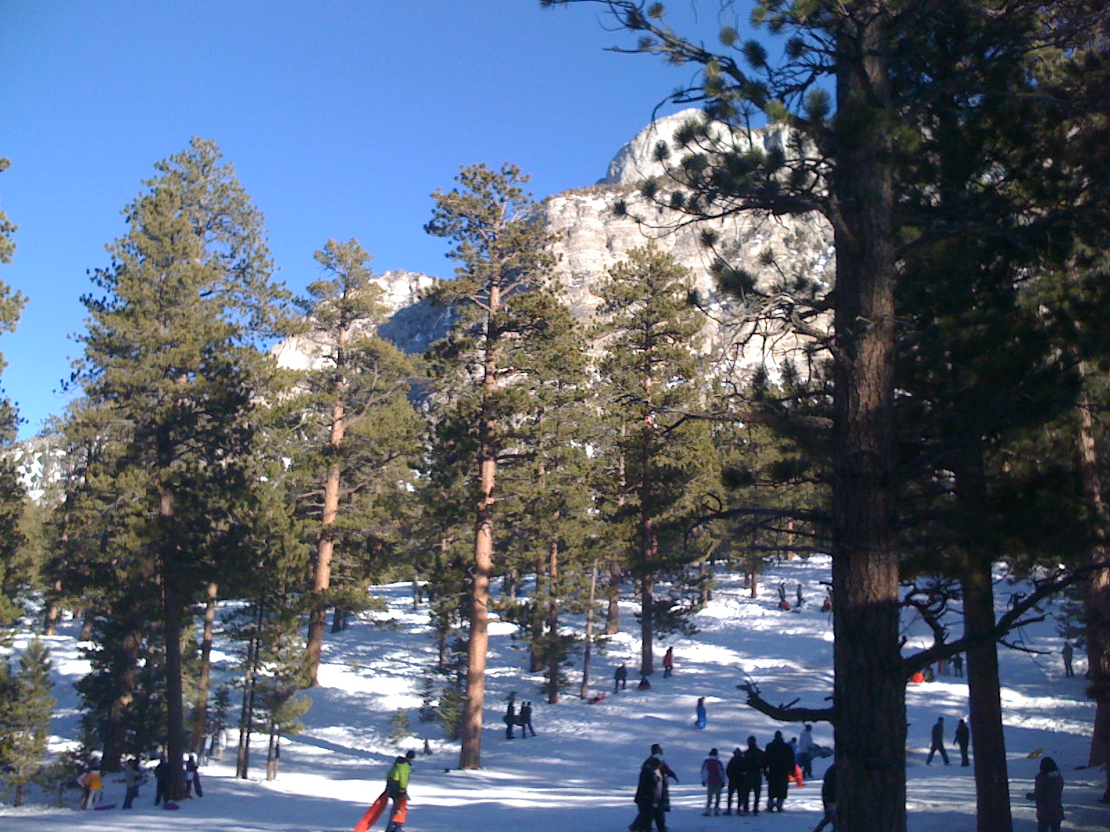 Sledding down Mt. Charleston, Las Vegas