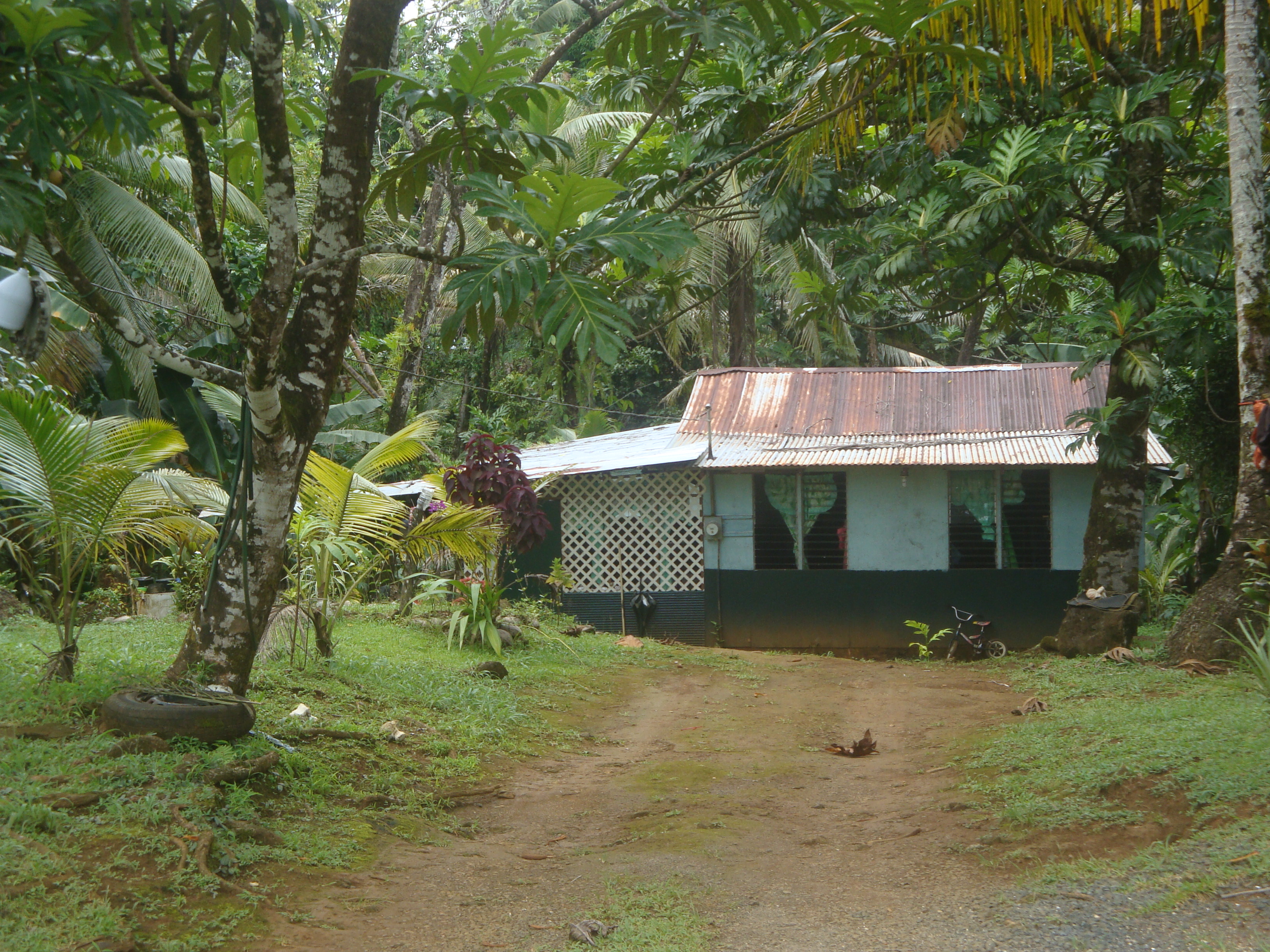 Pimp My Treehouse Houses of Pohnpei Vagabond3 World Travel Blog