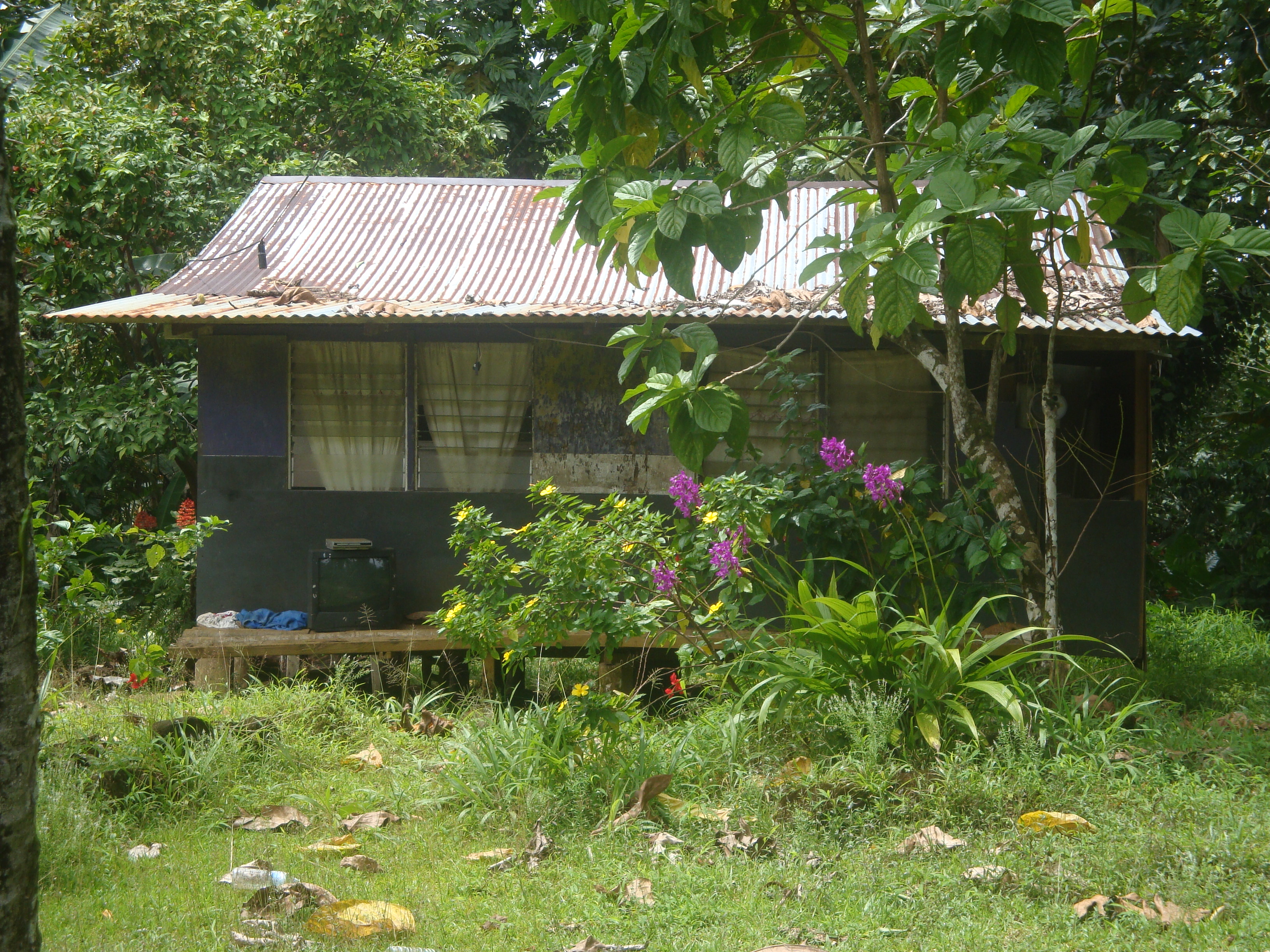 Pimp My Treehouse Houses of Pohnpei Vagabond3 World Travel Blog