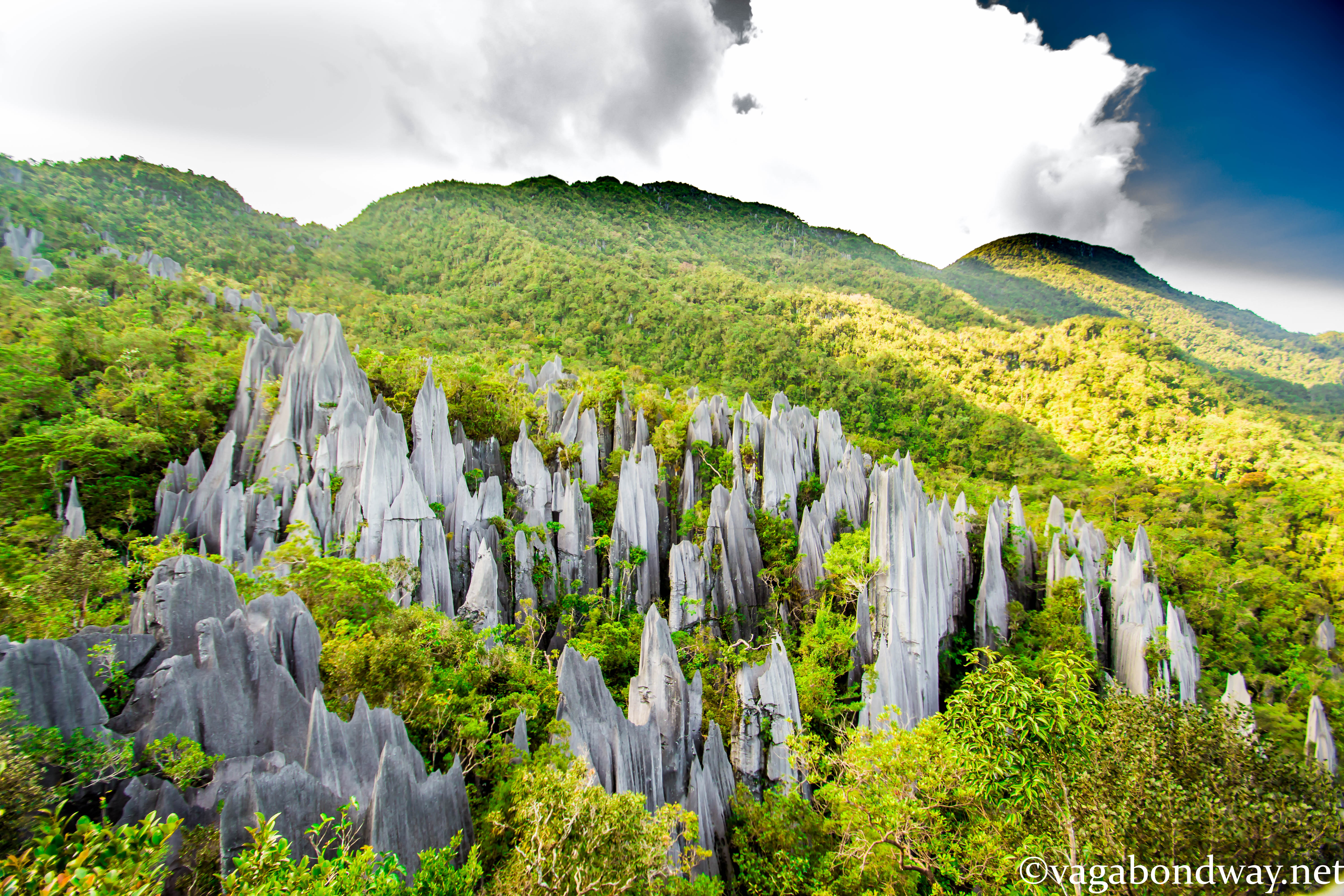How to Hike Unique Pinnacles at Mulu in Beautiful Borneo