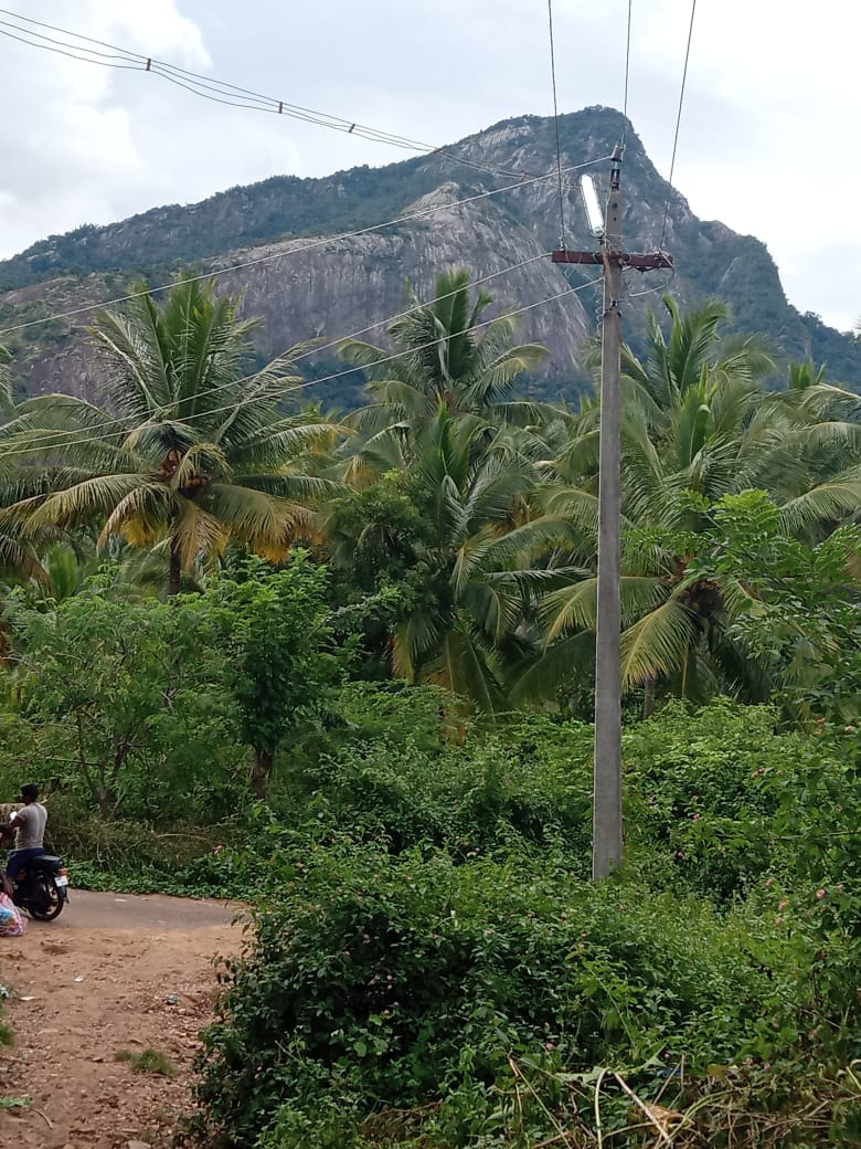 How To Get Street Light Fixed at Roderick Brown blog