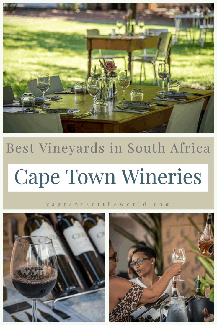 Best Vineyards in South Africa Cape Town Wineries