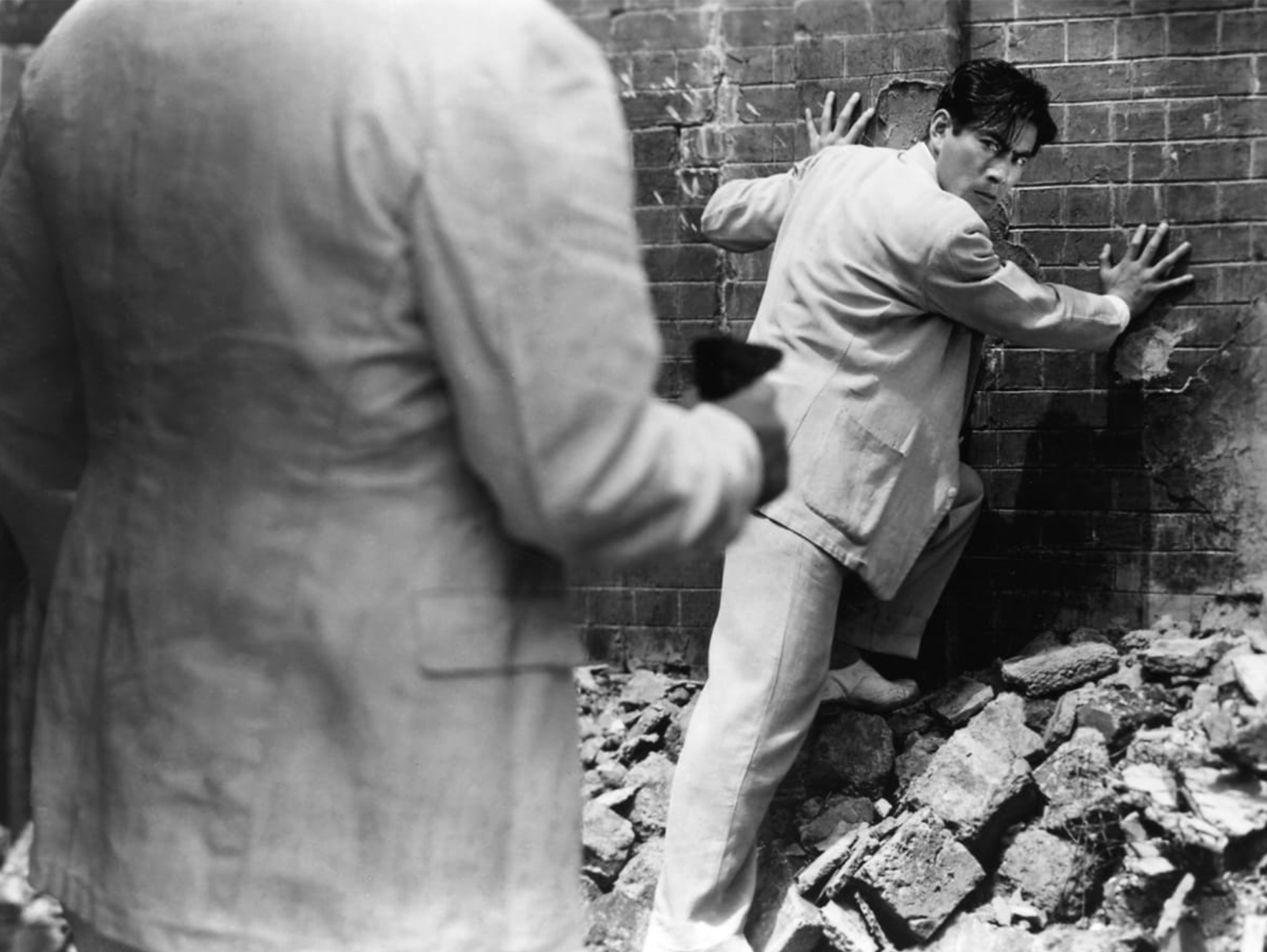 Stray Dog Movie Film Vague Visages