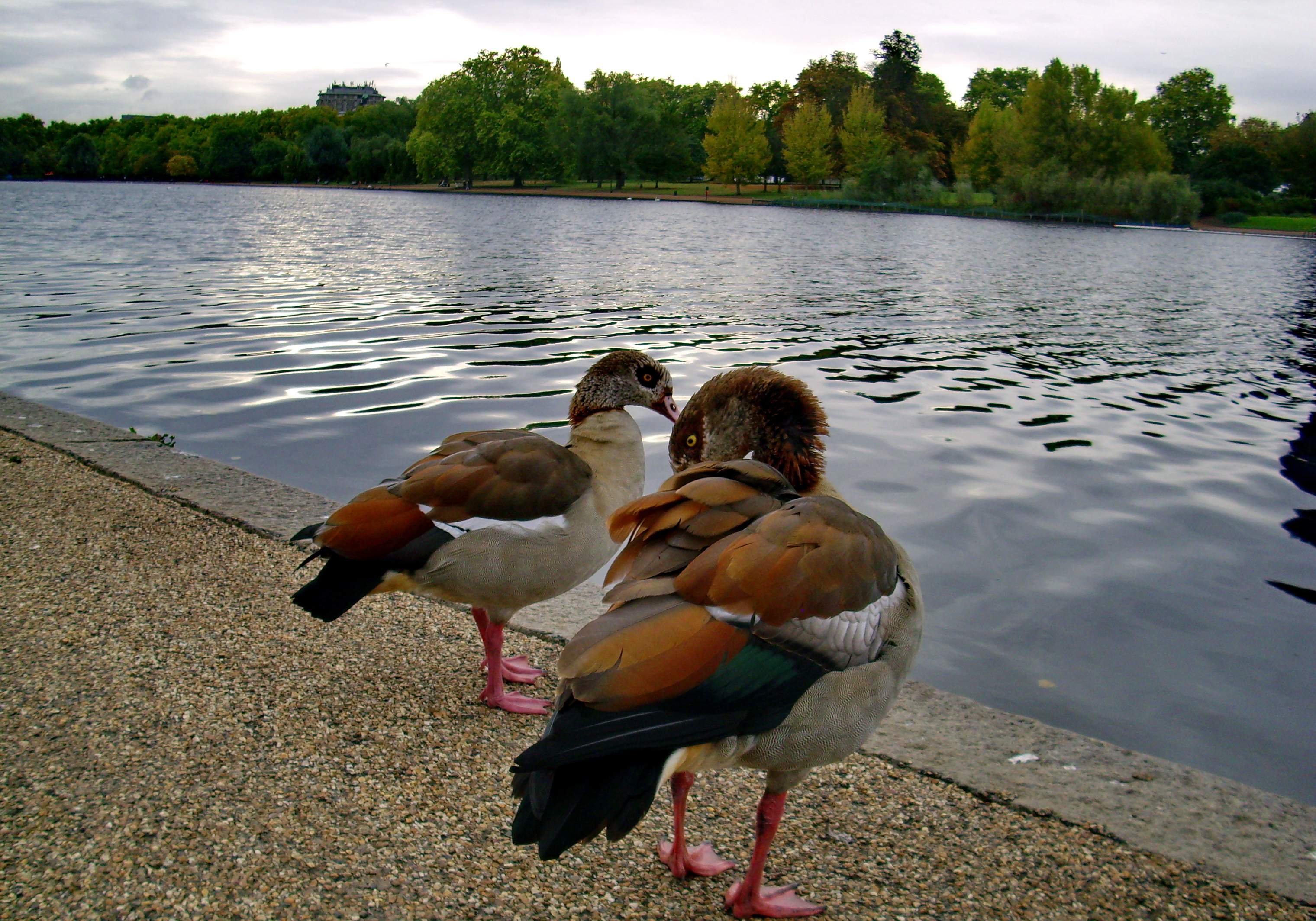 Hyde Park A Few Good Things