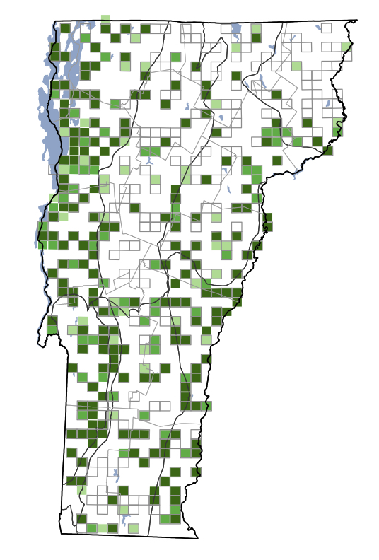 House Wren Vermont Atlas of Life