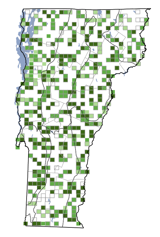 Indigo Bunting Vermont Atlas of Life