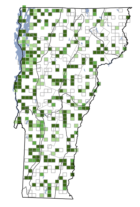 Killdeer Vermont Atlas of Life