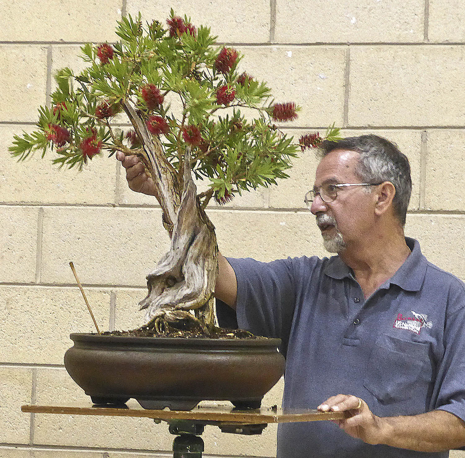BONSAI Valavanis Bonsai Blog