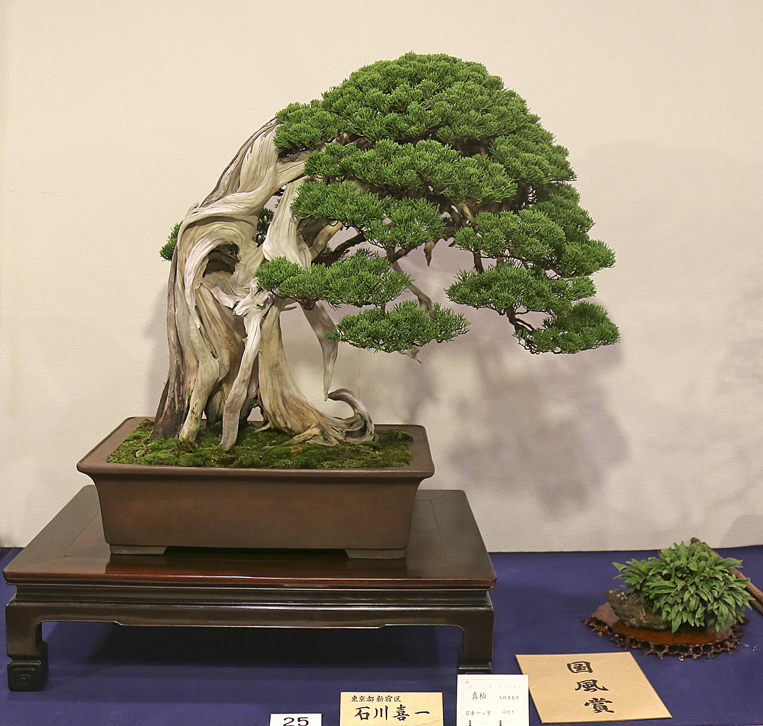 2016 90th Kokufu Bonsai Exhibition Report 2 Valavanis Bonsai Blog