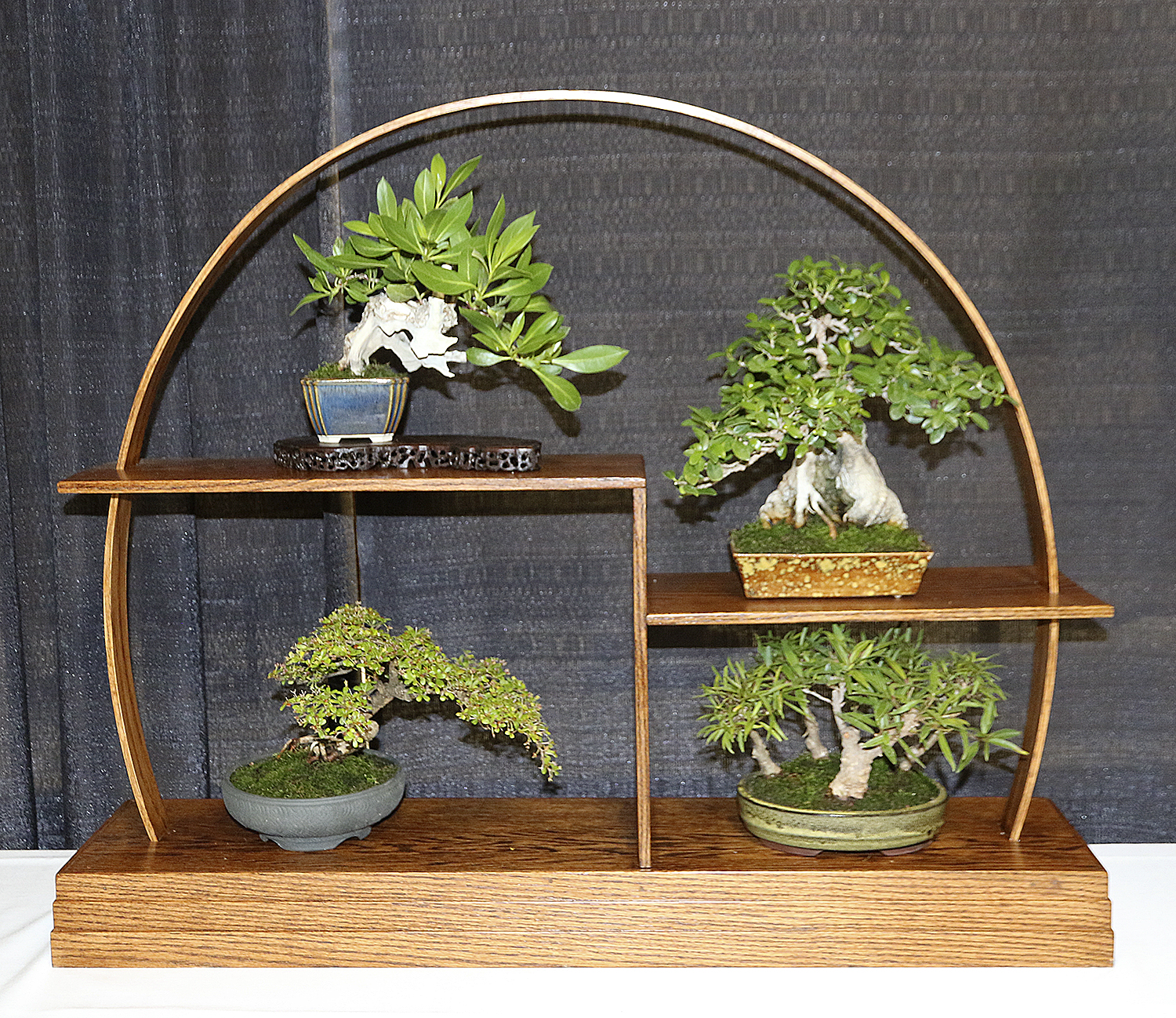 2017 Mid America Bonsai Association Convention Valavanis Bonsai Blog