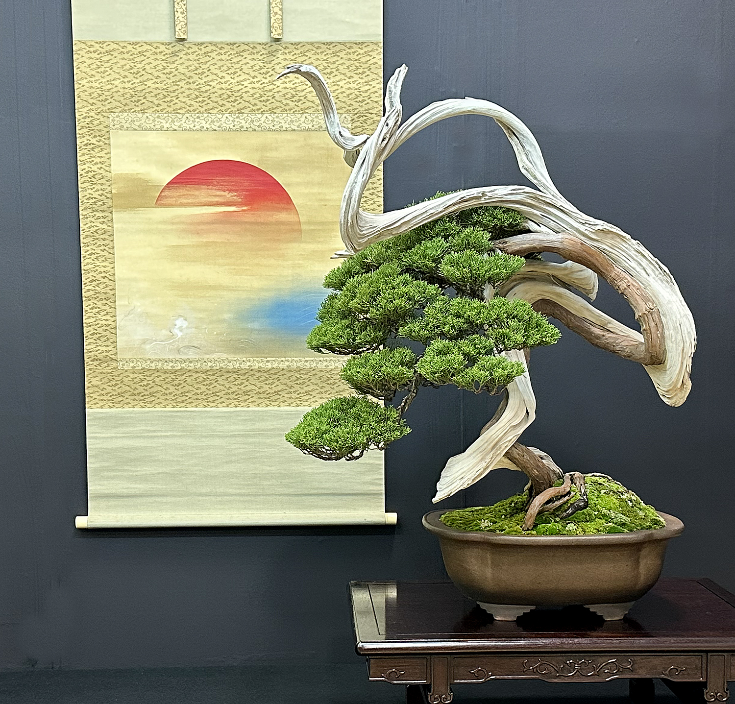 2022 42nd Nippon Bonsai Taikan Exhibition Part 1 Valavanis Bonsai Blog