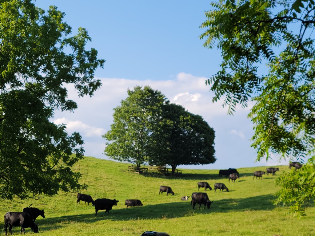 EvidenceBased Agriculture