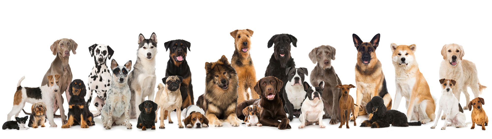 Boka tid hos Tassarnas Trim & Spa