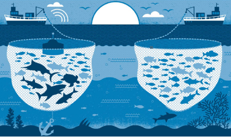 Let’s Talk Fishing Methods Valentine Thomas