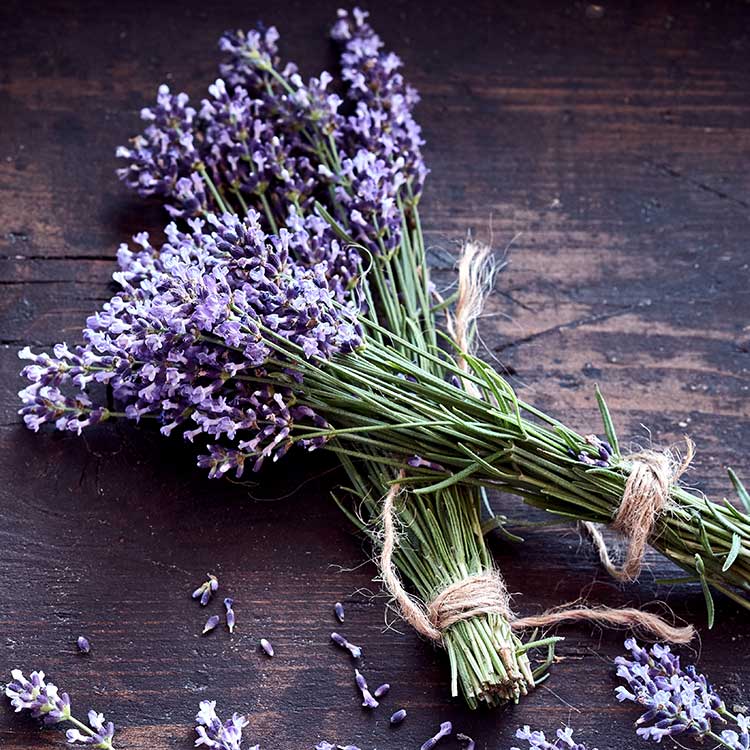 Lavender and Peppermint Hand Sanitiser Gel