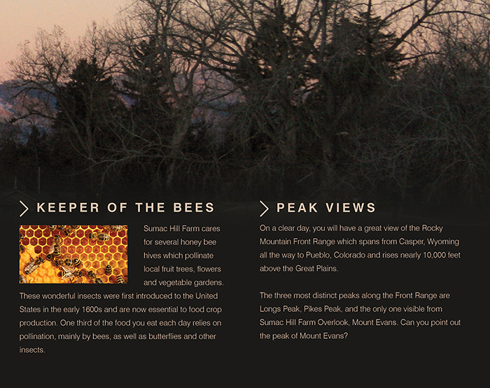 SUMAC HILL FARM OVERLOOK Valerian