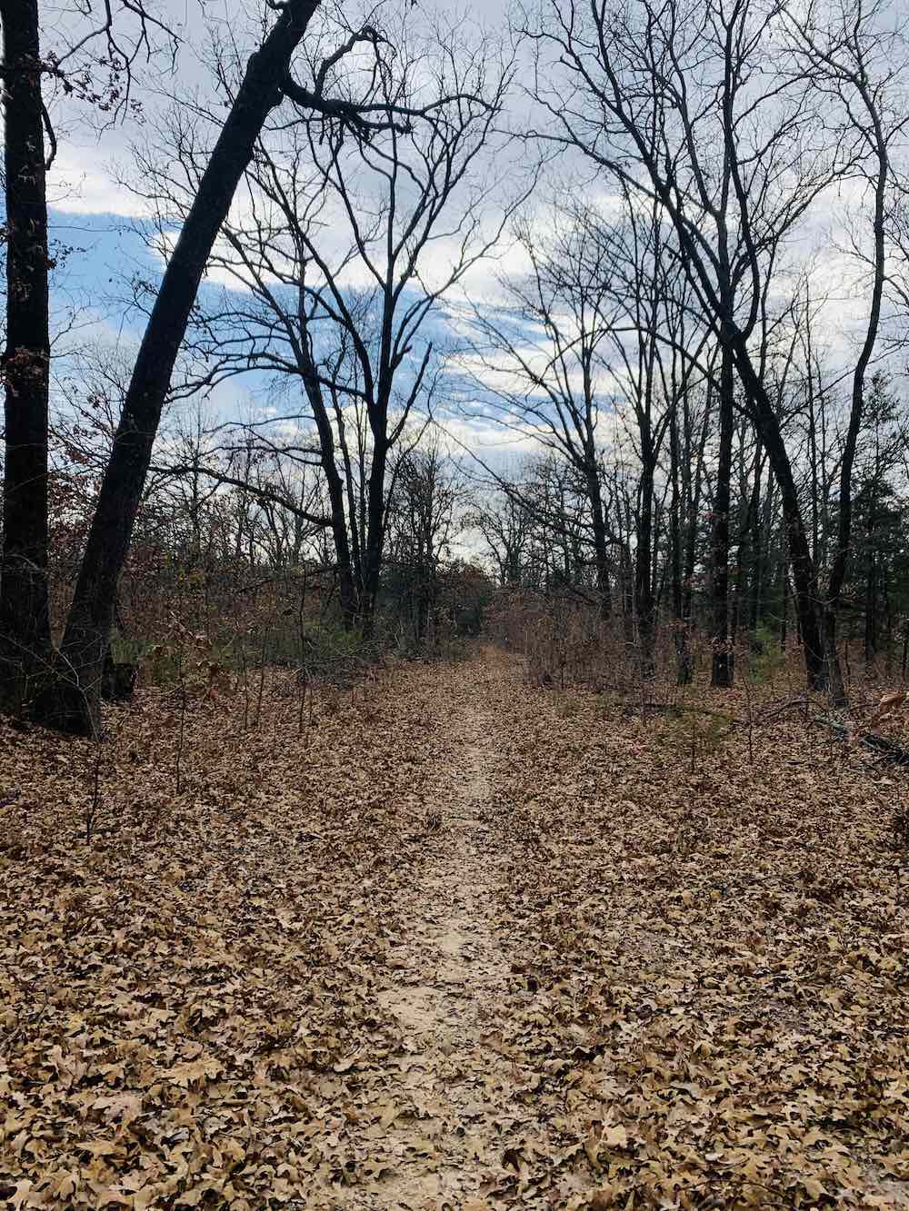 How To Find Your Life Purpose Hypnotic Trip