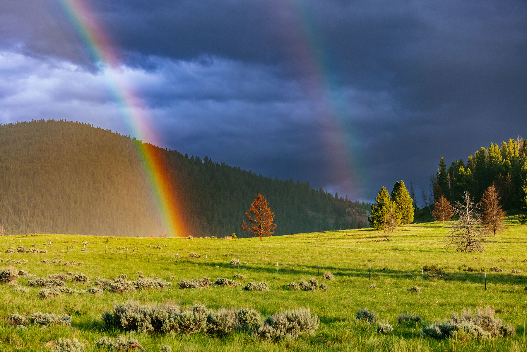 Anaconda, Montana Archives Valerie Manne Photography