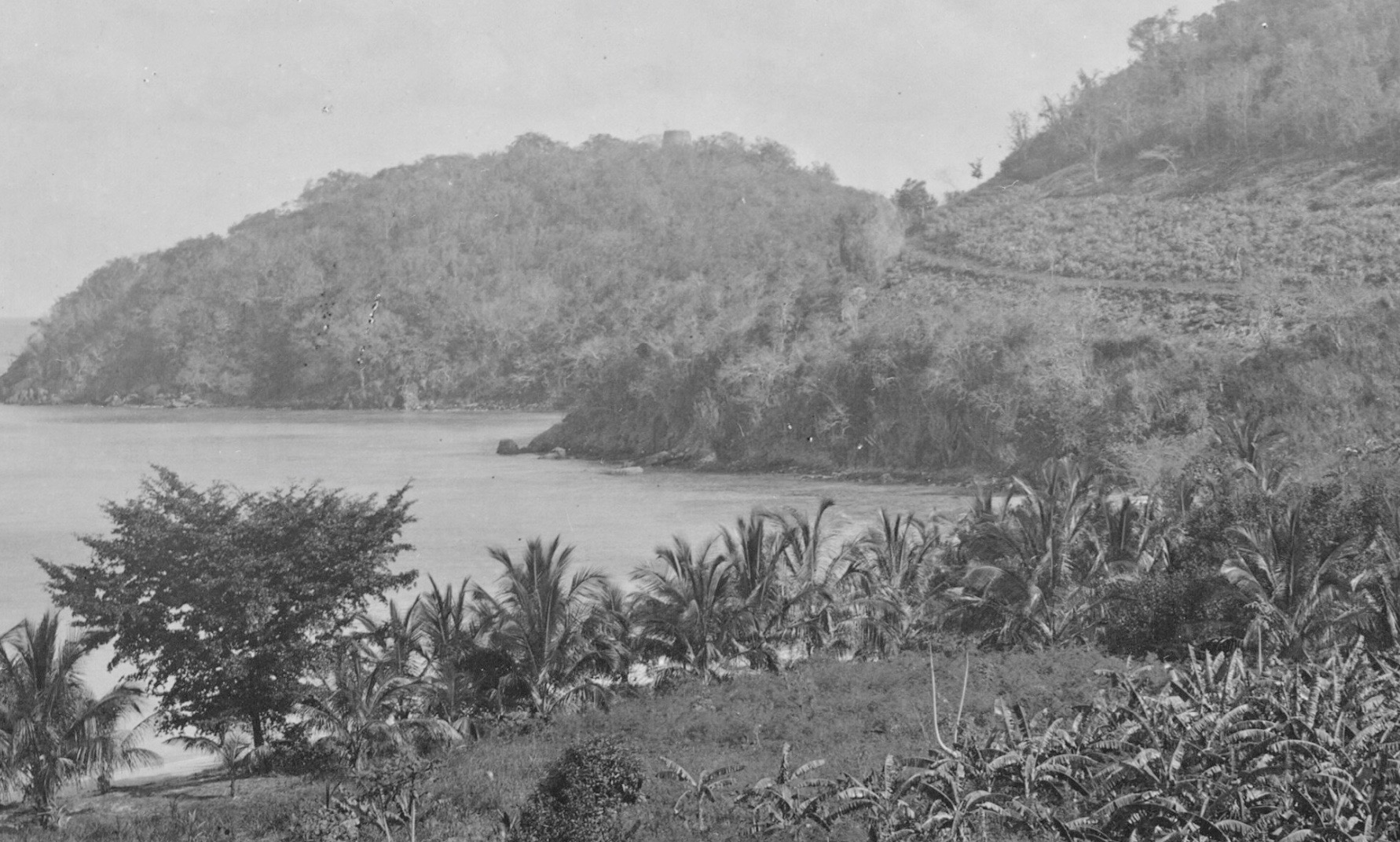 75 Acres of Denis Bay Estate on St. John For Sale 1920s 🌺 Virgin