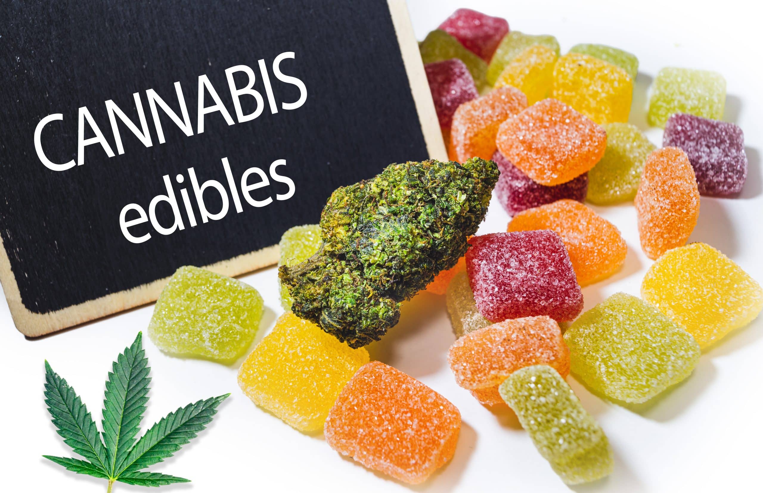 Hemp Gummies vs CBD Gummies Exploring the Differences ValidCBDOil