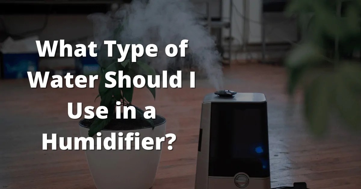 What Type Of Water Should I Use In A Humidifier? [Full INFO]