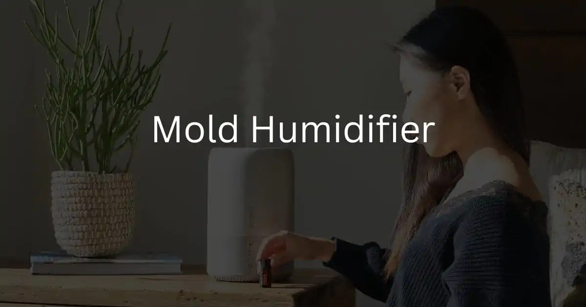 What Does Mold In Humidifier Look Like?