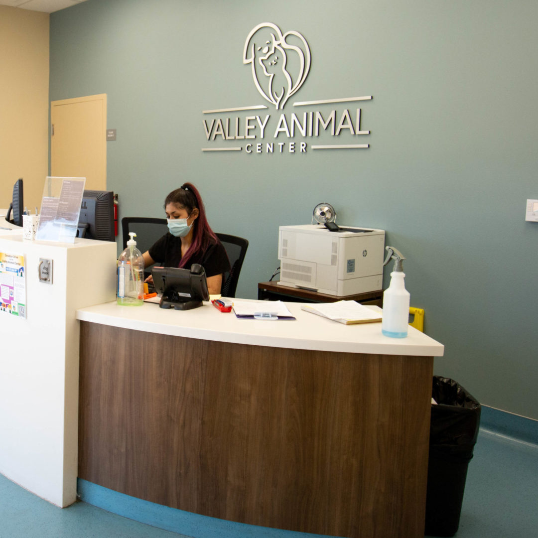 Valley Animal Center We are their shelter. You are their future.