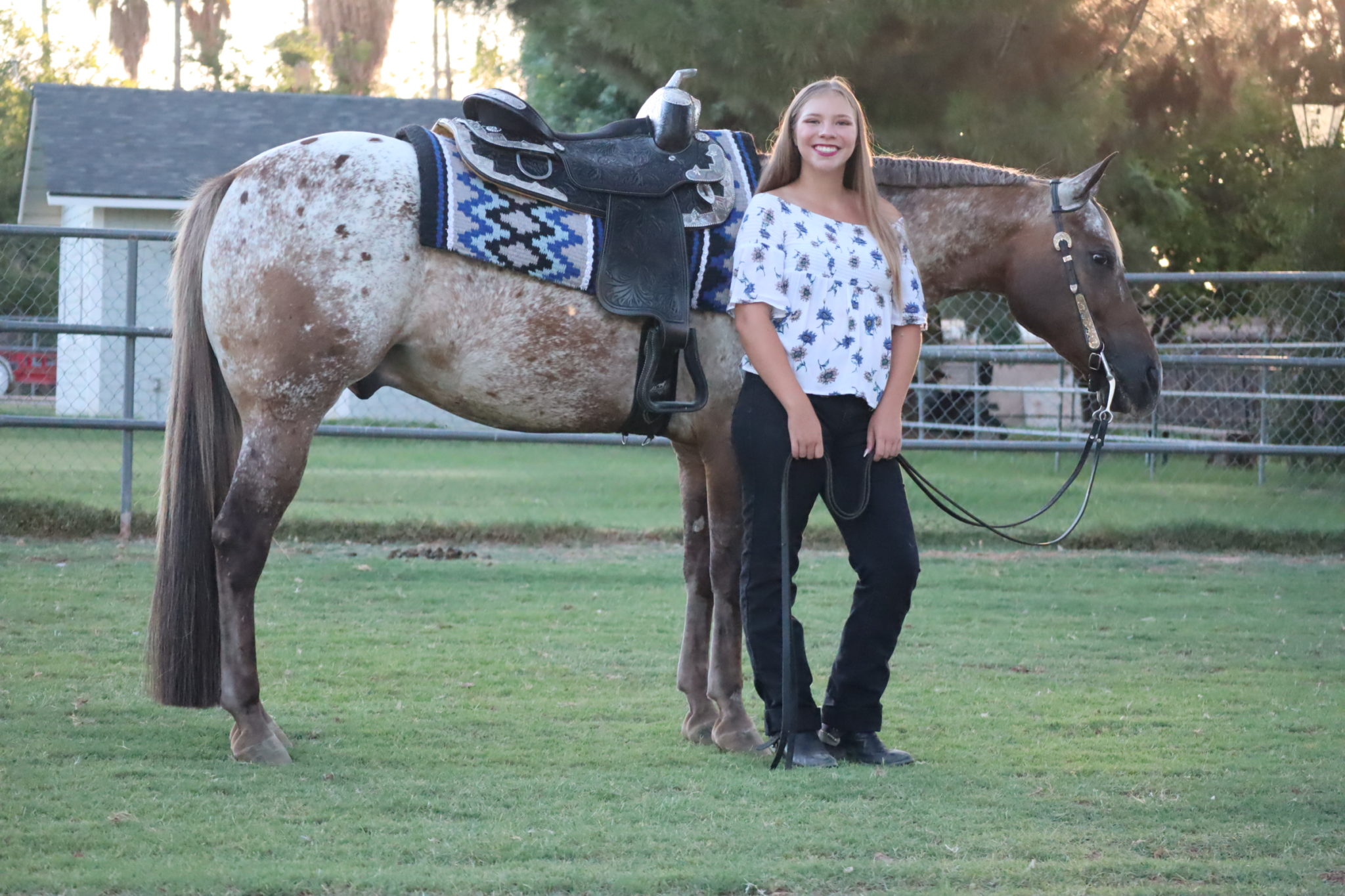 Hales Valley Property at Elouise Carter blog