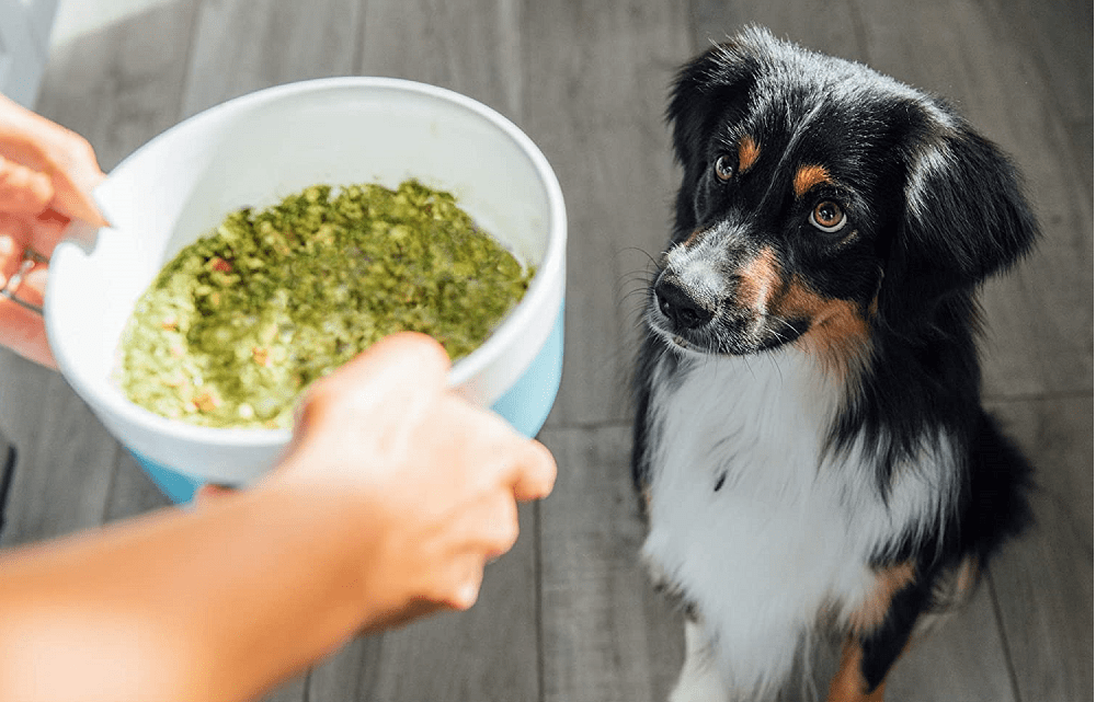 Best Human Grade Dog Food Valleyfeedandpetsupply