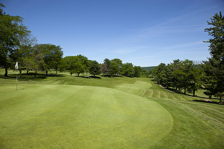 Golf Gallery Valley Green