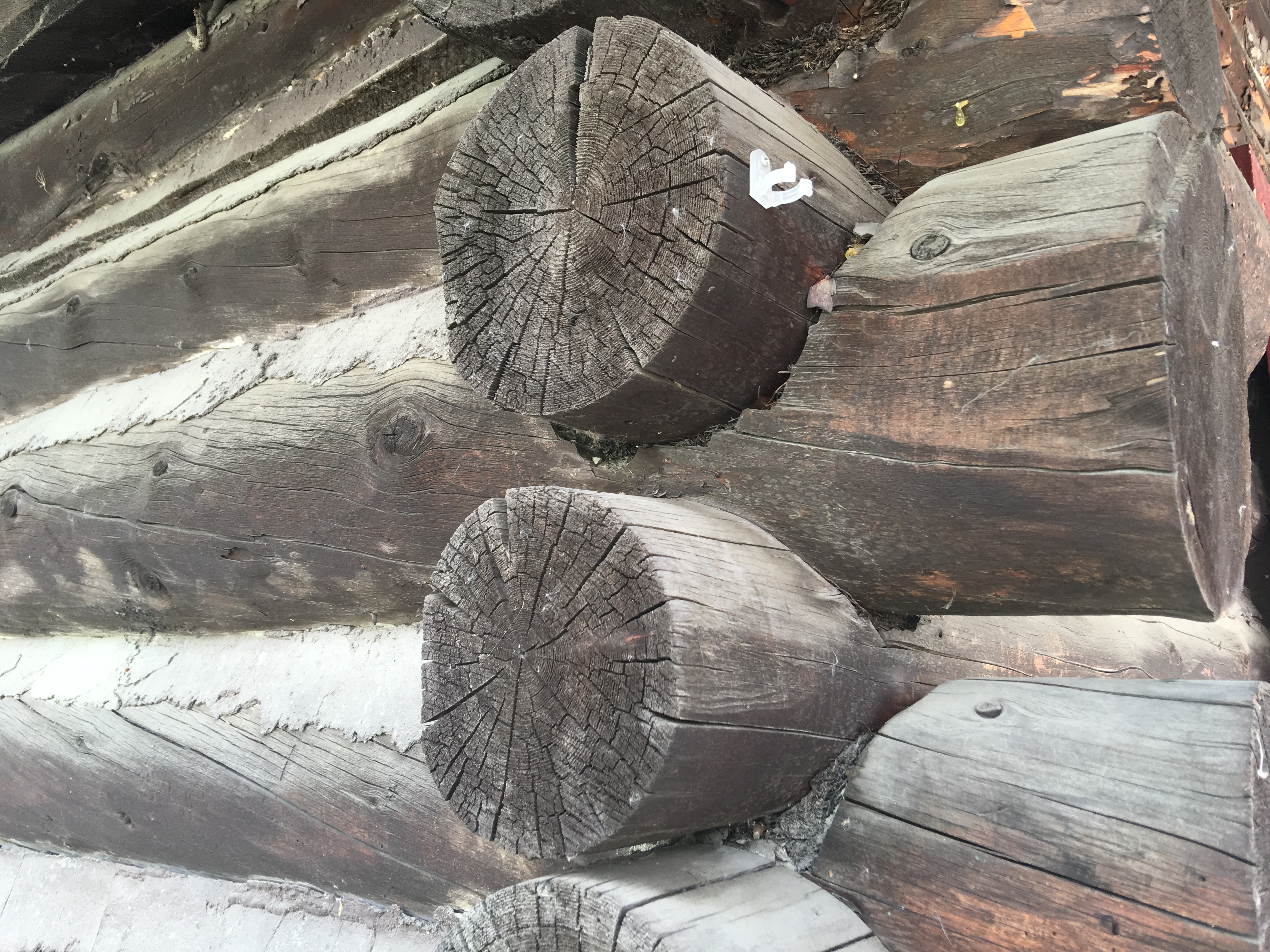 Log Cabin Corner Joints Alaska Real Estate News, Valley Market Real