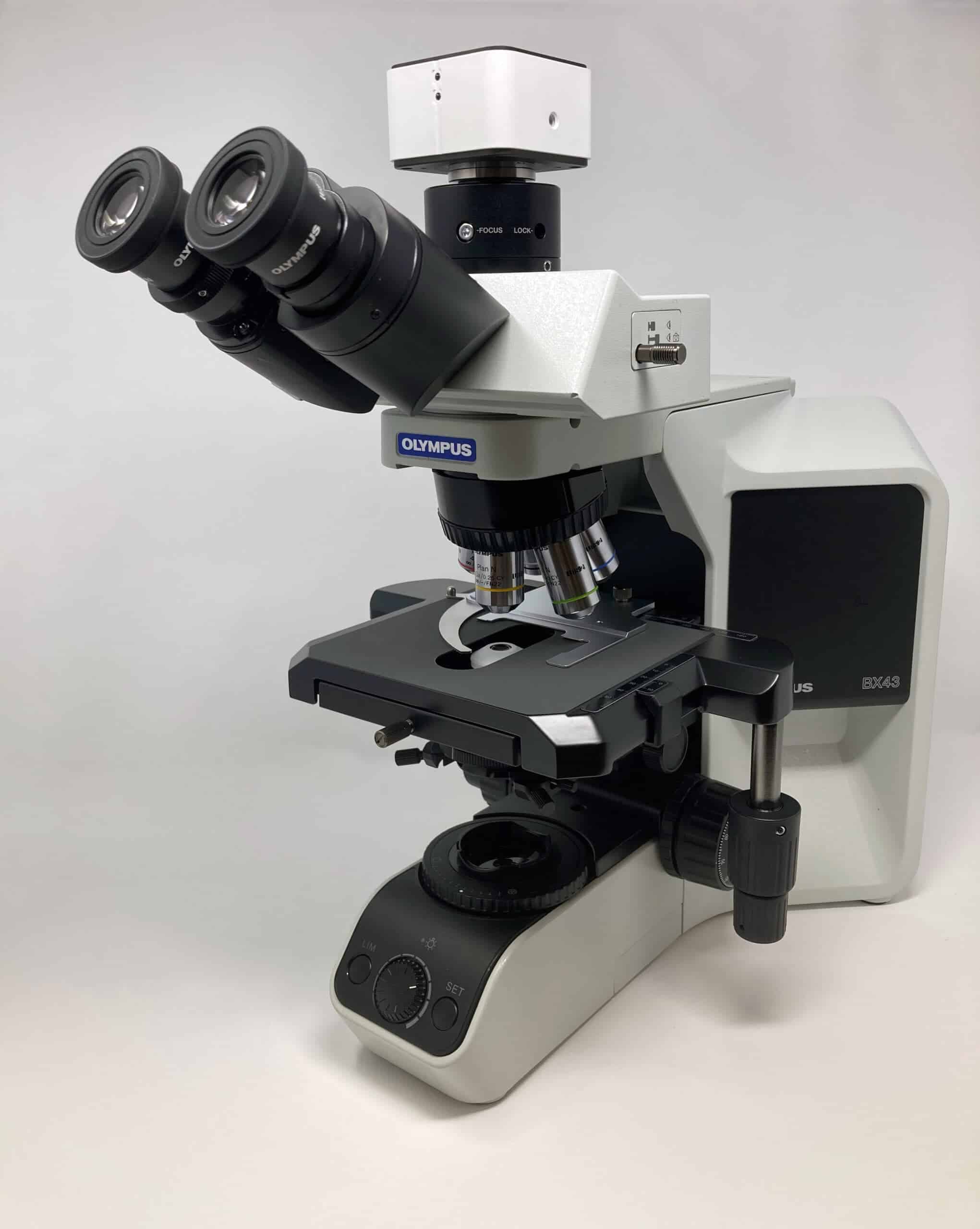 Olympus BX43 Demo Valley Microscope