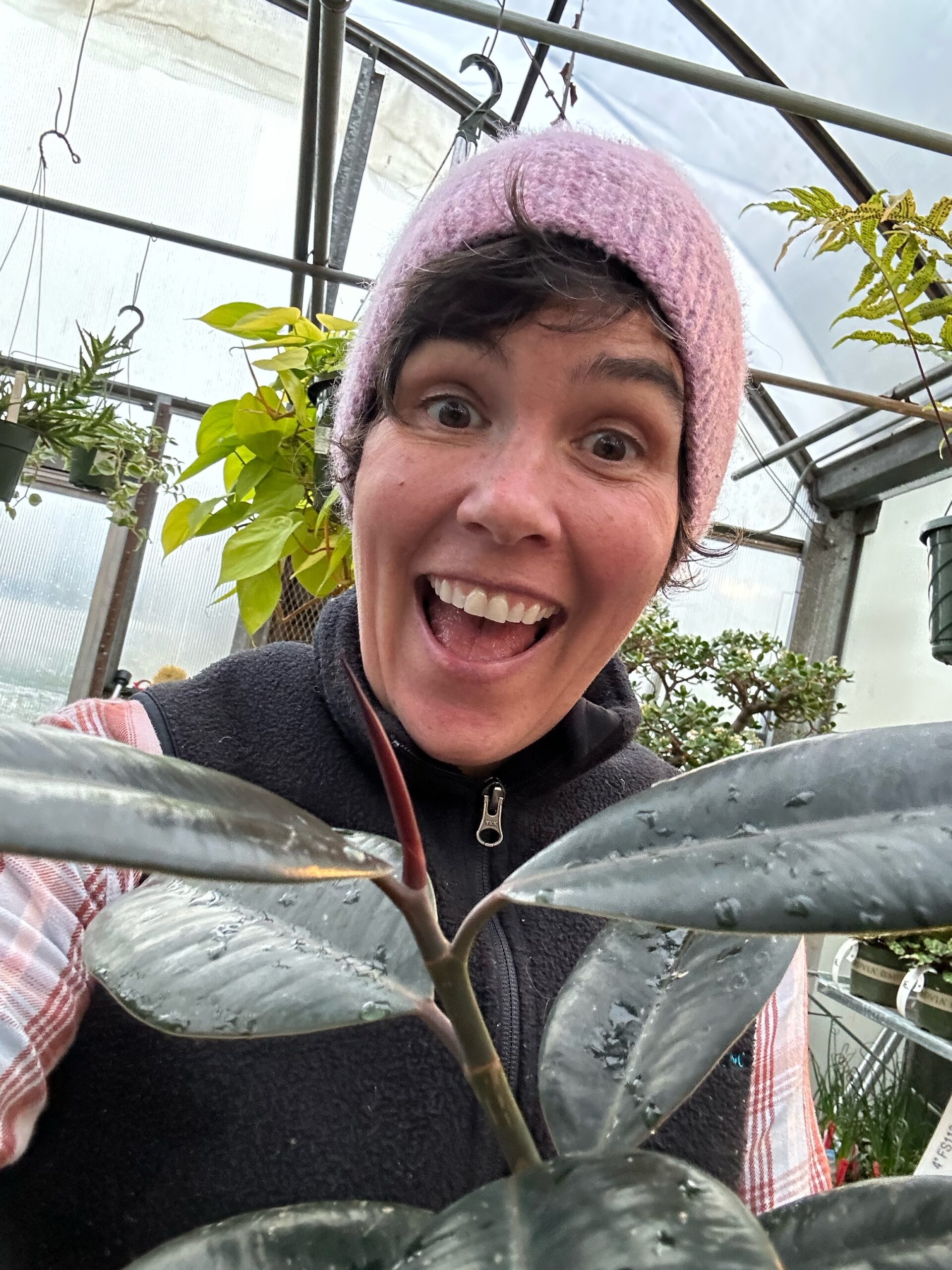 Episode 93 2023 Holiday Gift Guide! Valley Nursery Inc.