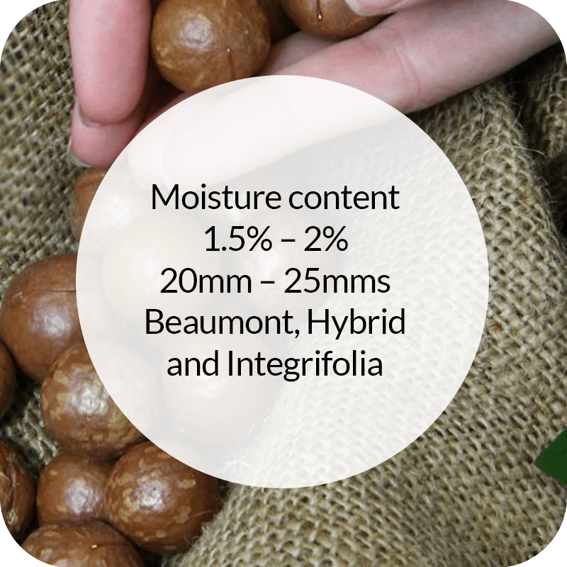 Sell Your Nuts Join Our Global Network