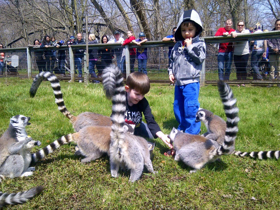 Bowmanville Zoo Bowmanville Valleys 2000