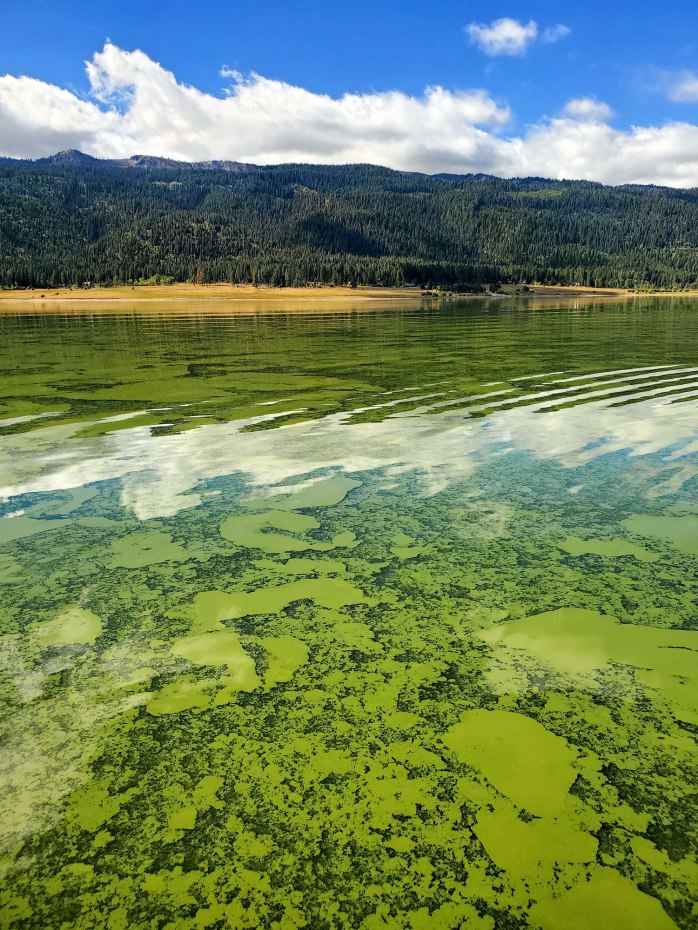Valley Soil & Water Conservation District helping manage and conserve