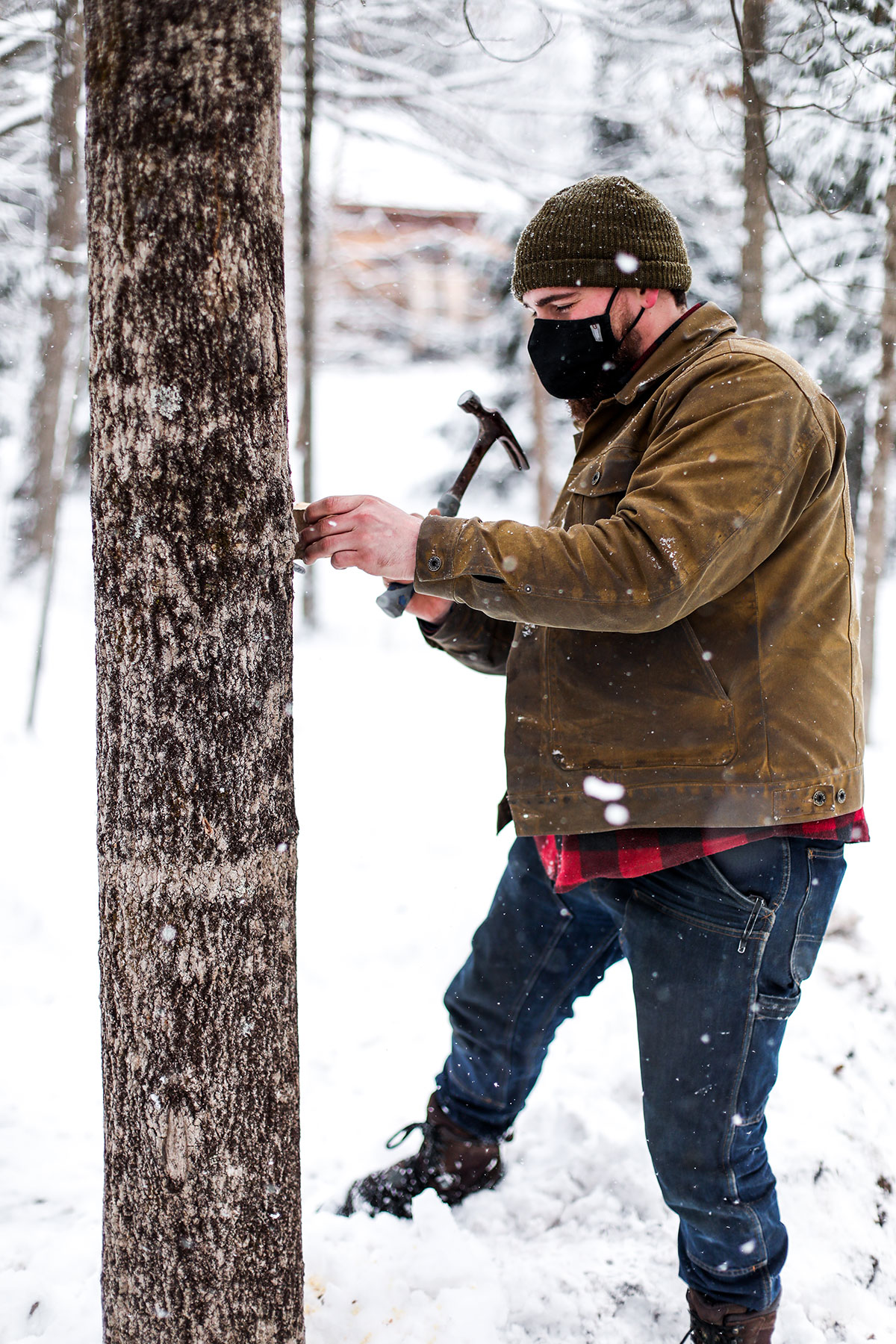 Dive Into the Maple Sugaring Process at This Ulster County Farm
