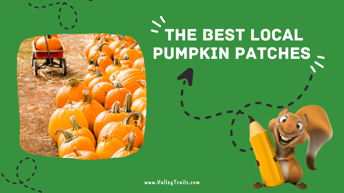 The Best Local Pumpkin Patches Valley Trails Summer Camp
