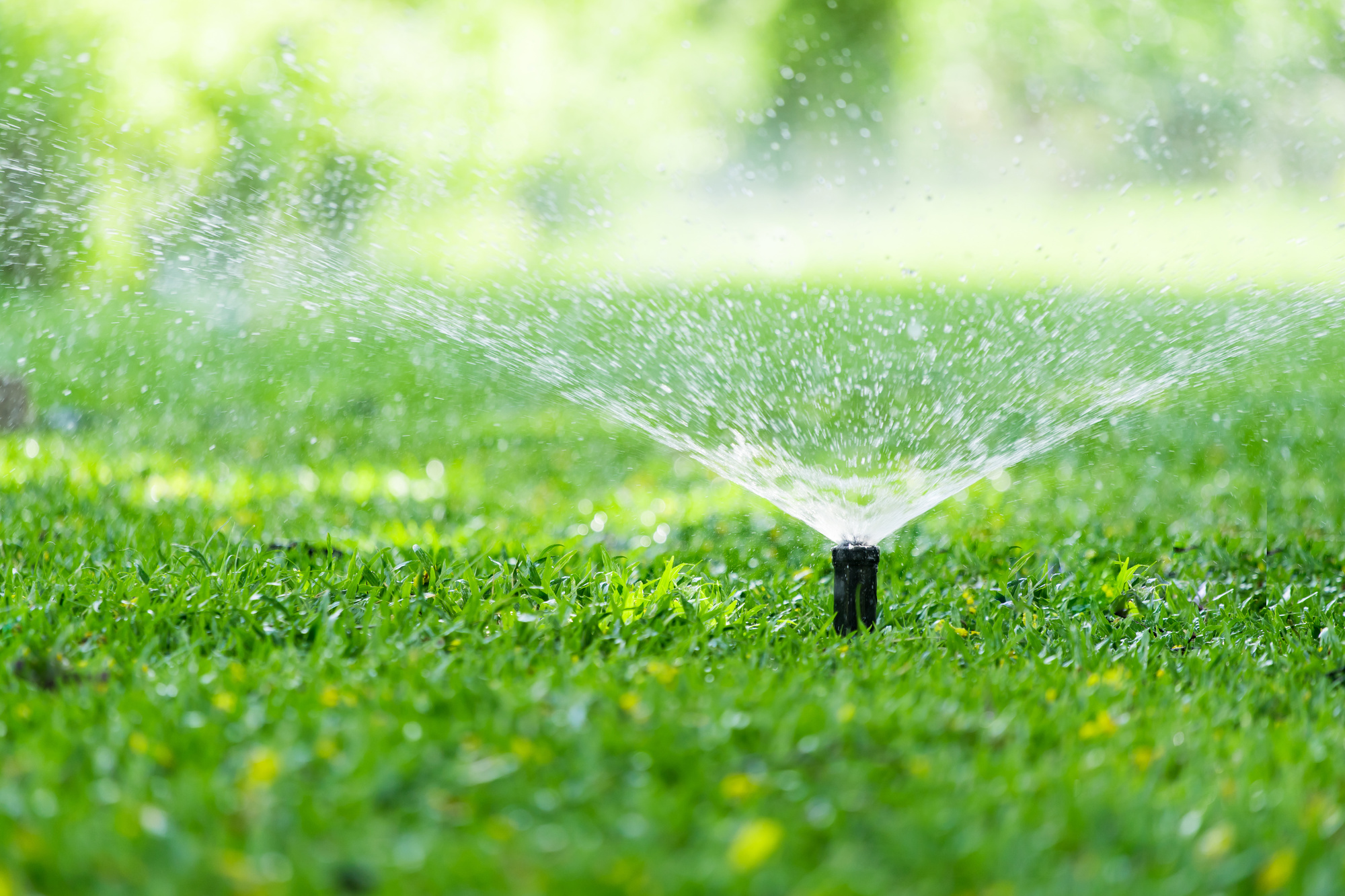 Why You Need Lawn Sprinkler System Maintenance Valley View Landworks