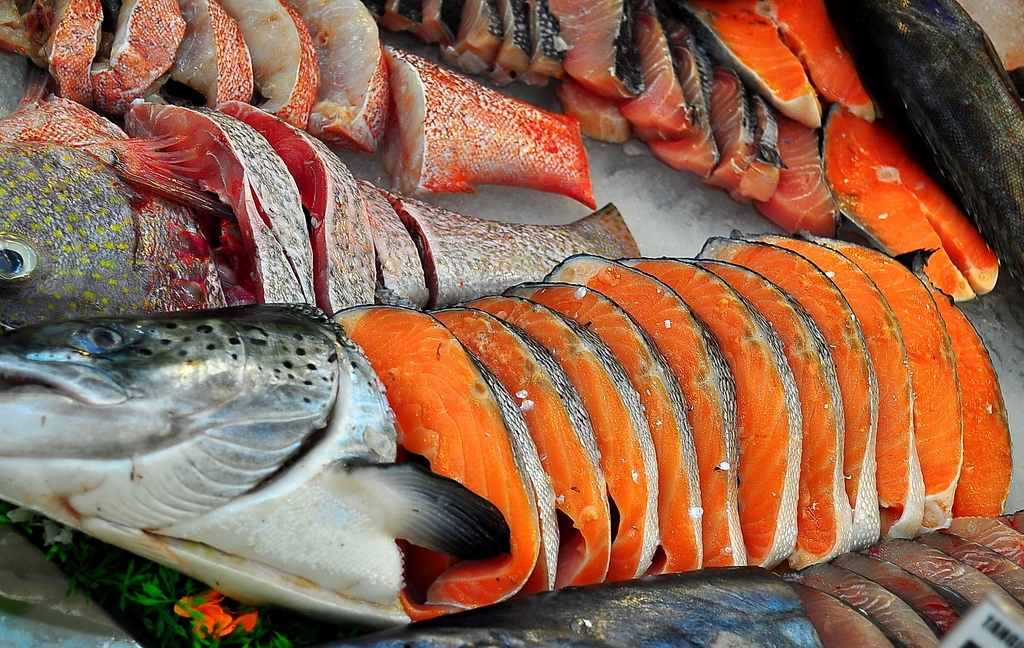 Salmone Piu Pregiato Del Mondo