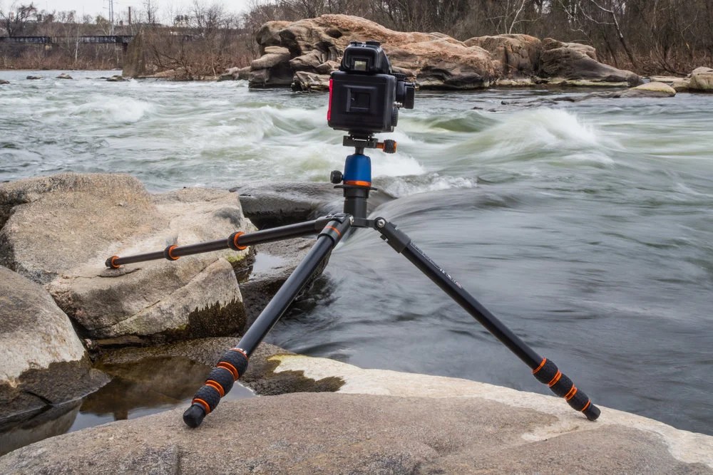 Top 5 Tripod For Bird Photography