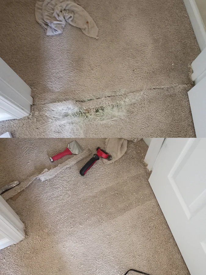Carpet Services 1 Carpet Cleaning & Repair Lawrenceville