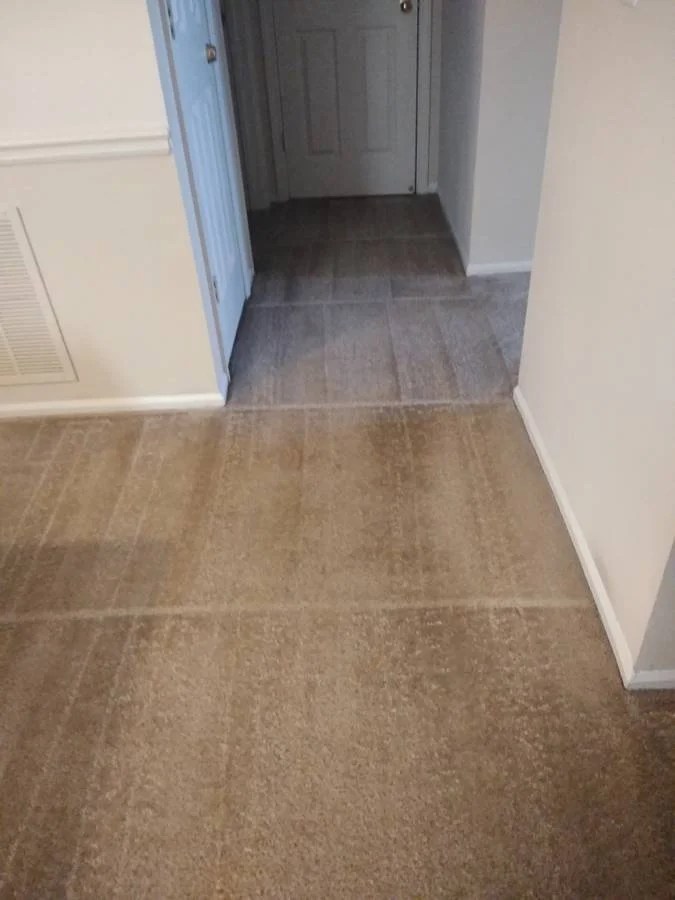 Carpet Services 1 Carpet Cleaning & Repair Lawrenceville