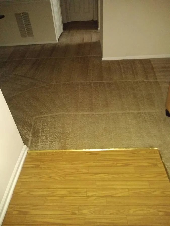 Carpet Services 1 Carpet Cleaning & Repair Lawrenceville