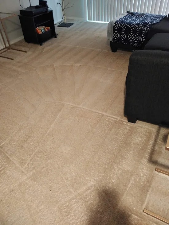 Carpet Services 1 Carpet Cleaning & Repair Lawrenceville